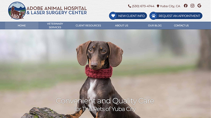 Adobe Animal Hospital